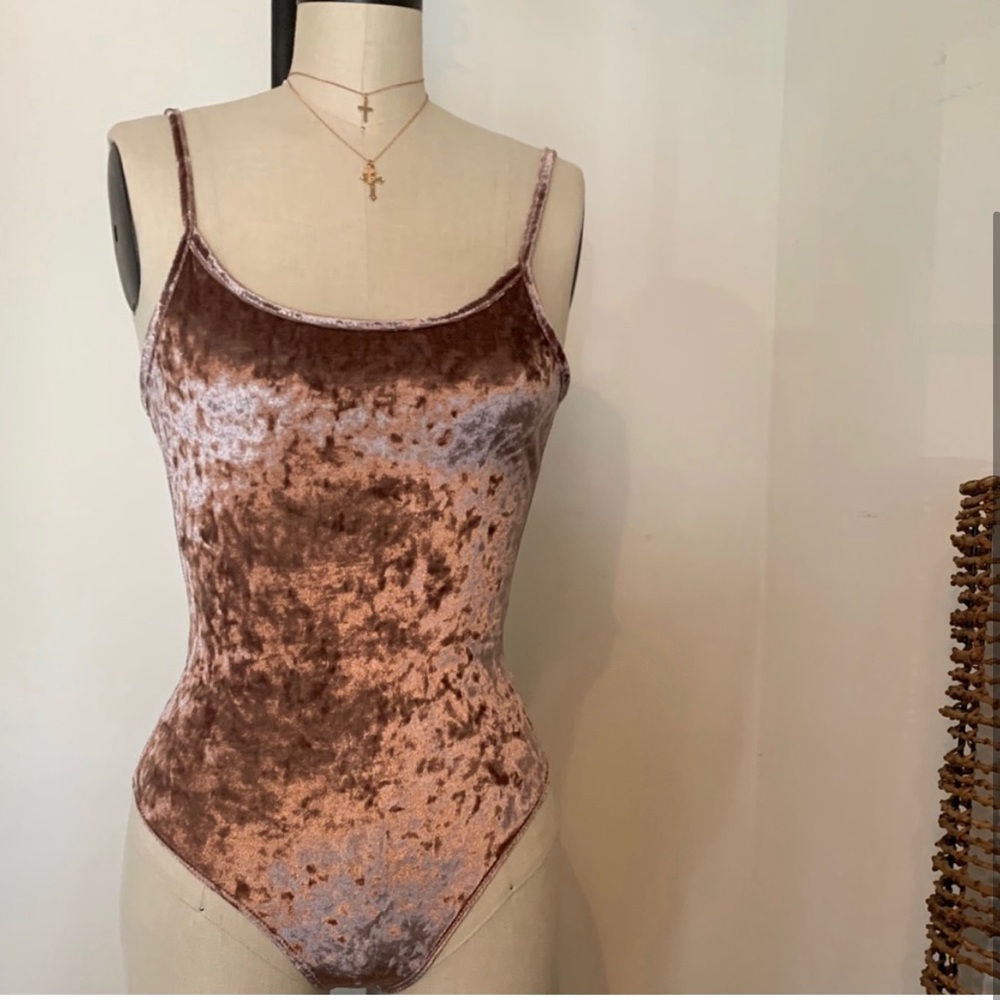NWTS brandy Melville taupe velvet velour reina bodysuit